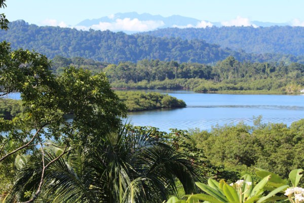 Eden Jungle Lodge - Bocas del Toro- Panama