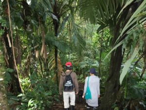 balade en jungle panama