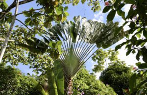 Visitez le panama avec Eden Jungle Lodge