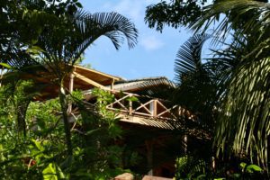 Eden jungle lodge - Bocas del Toro - Panama habitation