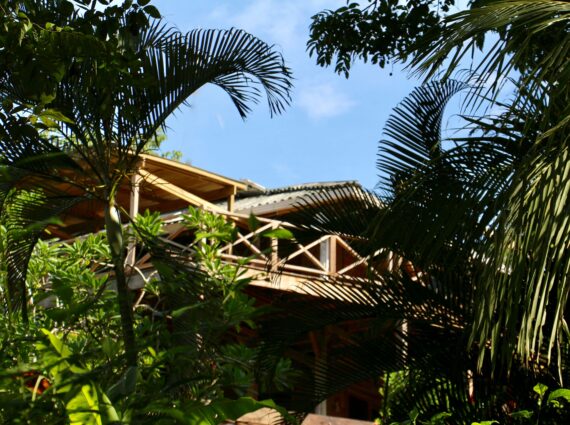 Eden jungle lodge - Bocas del Toro - Panama habitation