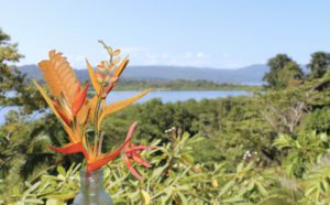 Eden jungle lodge - Bocas del Toro - Panama