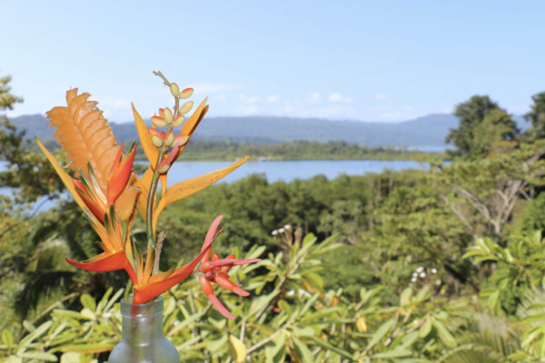 Eden jungle lodge - Bocas del Toro - Panama