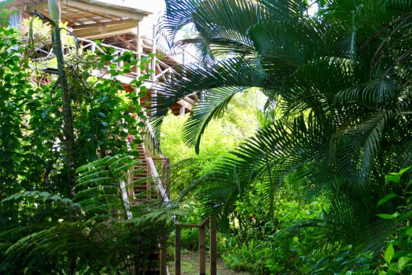 Eden Jungle Lodge - Bocas del Toro - Panama