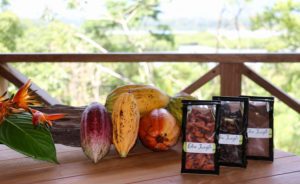 Cacao à la vente - Eden Jungle Lodge - Bocas del Toro - Panama