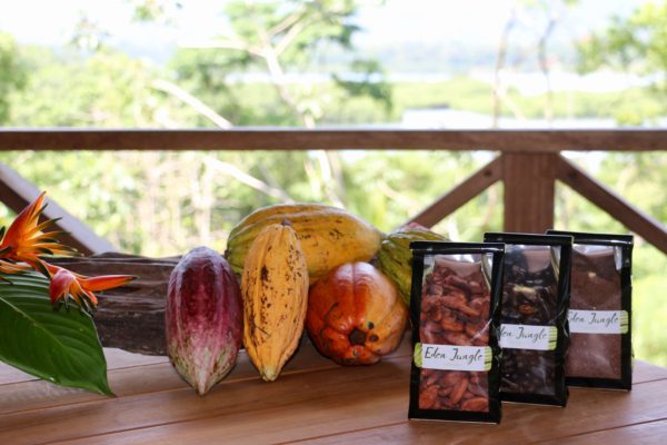Cacao à la vente - Eden Jungle Lodge - Bocas del Toro - Panama