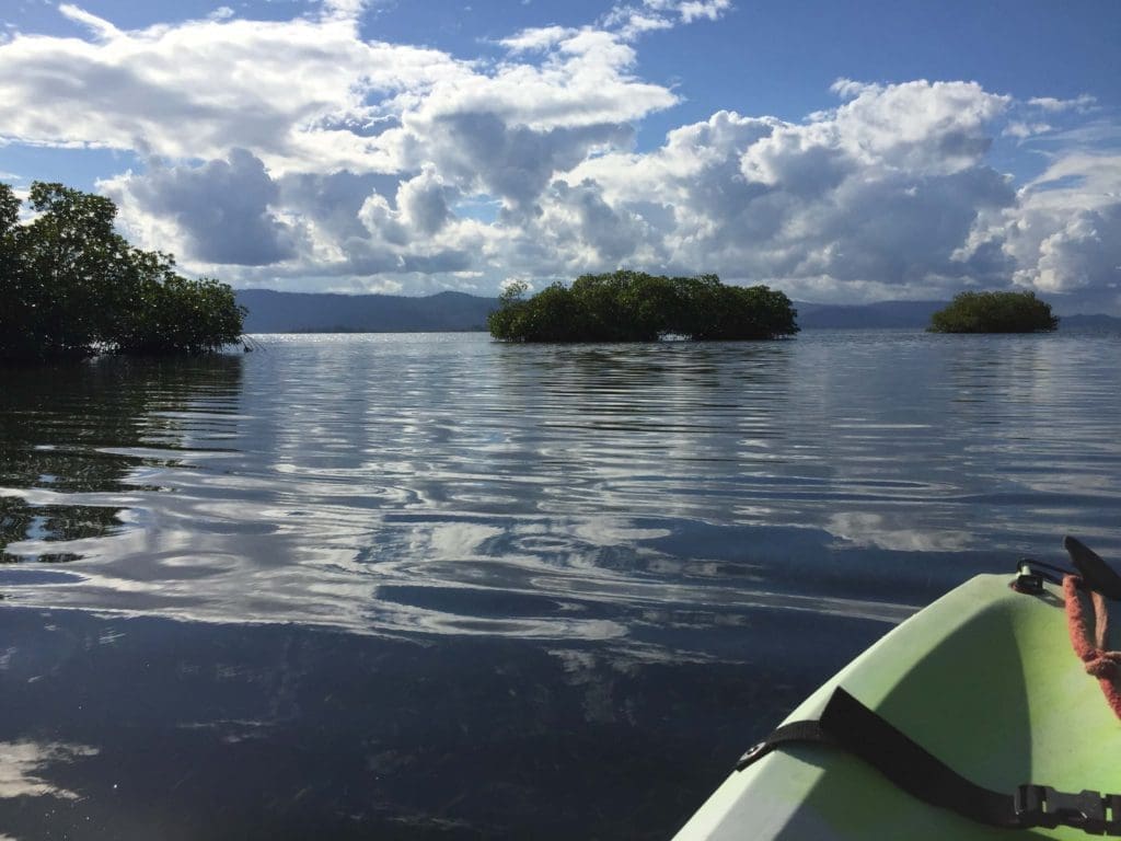 Balade en Kayak EJL Bocas del Toro Panama