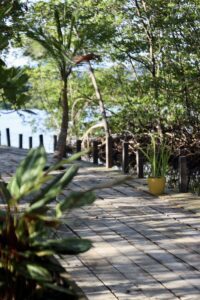 Dock - Eden Jungle Lodge - Panama