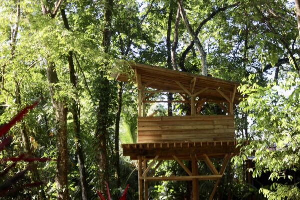 Plateforme observation - Eden Jungle Lodge - Panama