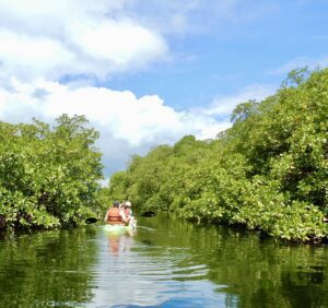 Kayak dans la baie Eden jungle lodge - Bocas del Toro -Panama