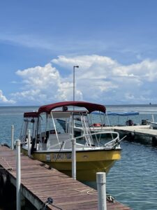 den Jungle Tour Boat - Eden jungle lodge - Bocas del Toro -Panama