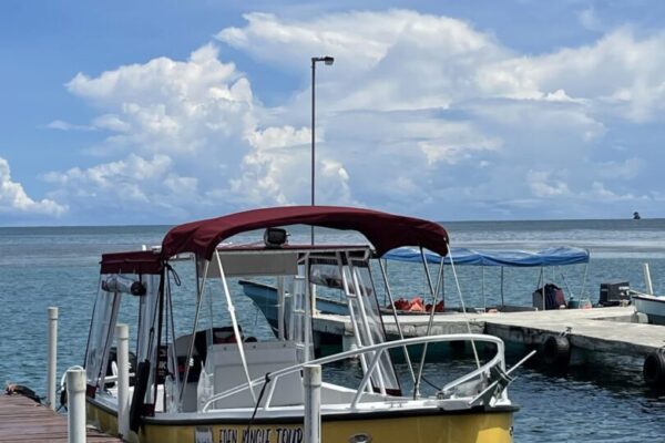 den Jungle Tour Boat - Eden jungle lodge - Bocas del Toro -Panama