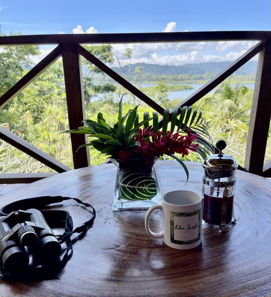 Terrasse supérieure - Eden Jungle Lodge-