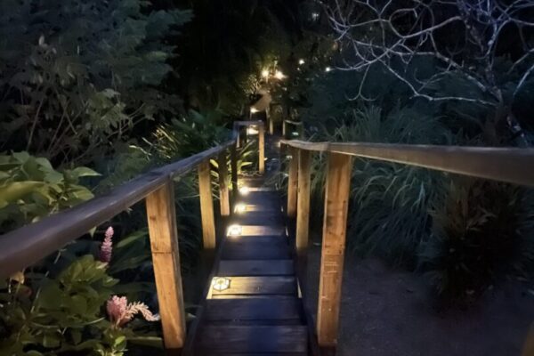 Descente illuminée - Eden Jungle Lodge - Panama
