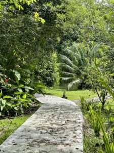 Sendero- Eden jungle lodge - Panama