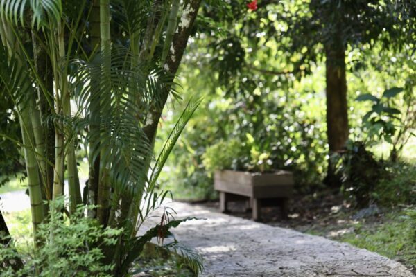 Eden Jungle Lodge - Panama