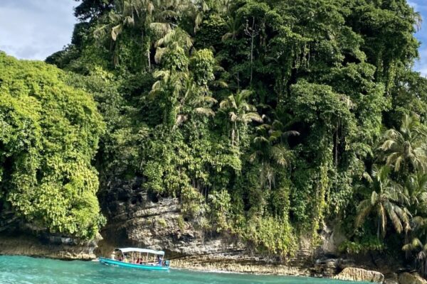 L'ile aux oiseaux - Bocas del Toro- Eden Jungle Lodge