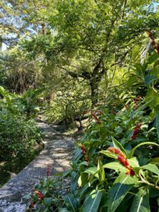 Chemin accès au lodge -Eden Jungle Lodge - Panama