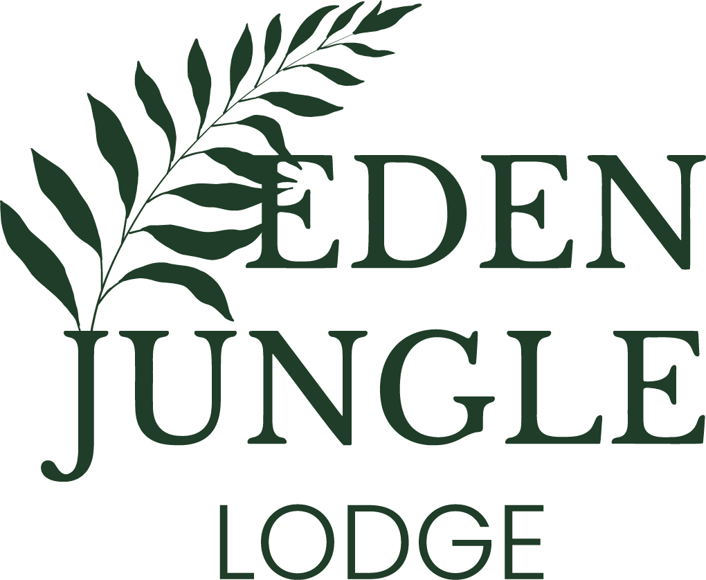 Eden Jungle Lodge